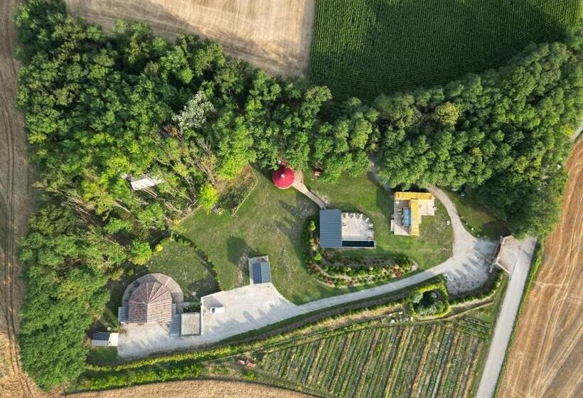 Standard Tent, Des Branches & Vous