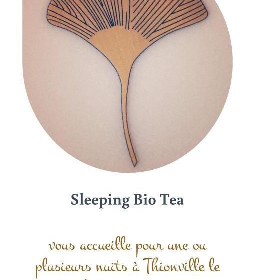 Apartamento 1 Dormitório Vista Jardim, Sleeping Bio Tea