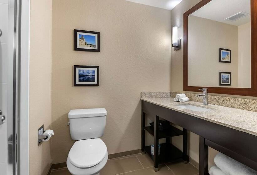 Люкс, Comfort Inn & Suites Cedar Rapids Cid Eastern Iowa Airport