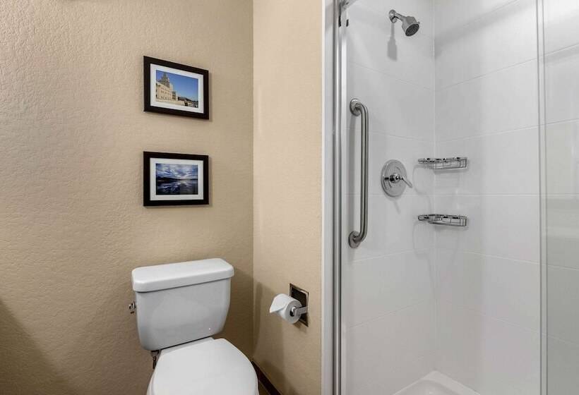 Люкс Адаптированный для Инвалидов, Comfort Inn & Suites Cedar Rapids Cid Eastern Iowa Airport