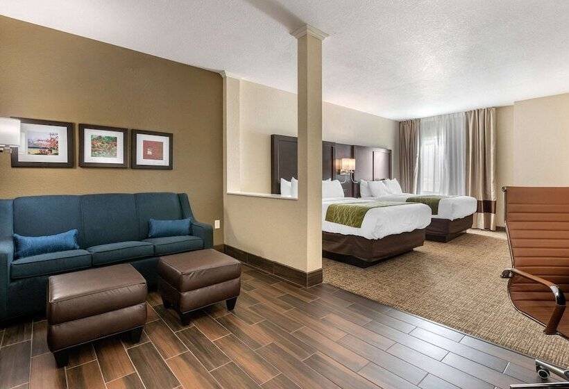 Люкс Адаптированный для Инвалидов, Comfort Inn & Suites Cedar Rapids Cid Eastern Iowa Airport