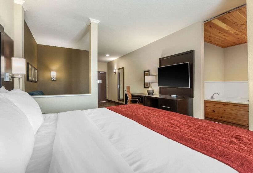 Люкс, Comfort Inn & Suites Cedar Rapids Cid Eastern Iowa Airport