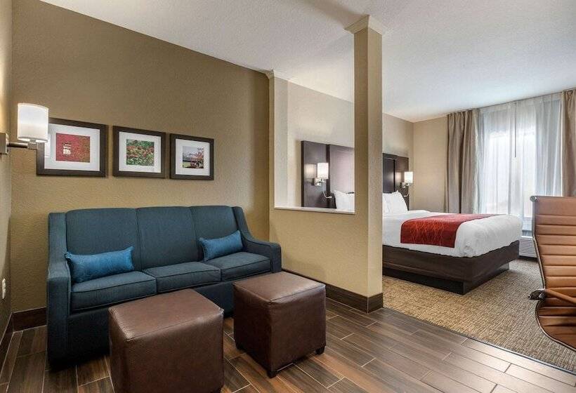 Люкс Адаптированный для Инвалидов, Comfort Inn & Suites Cedar Rapids Cid Eastern Iowa Airport