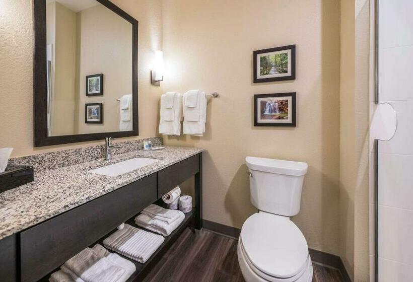 Люкс Кровать Кинг, Comfort Suites Marysville Columbus  Northwest