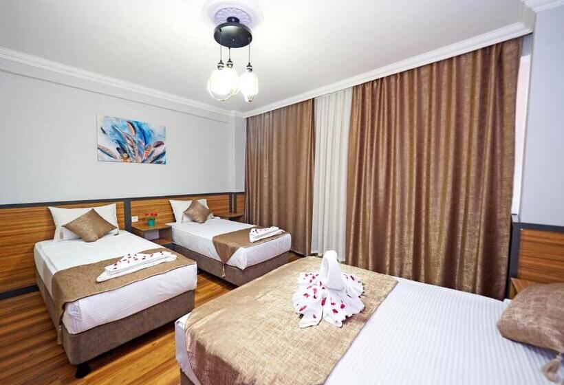 اتاق استاندارد چهار تخته, Arges Old City