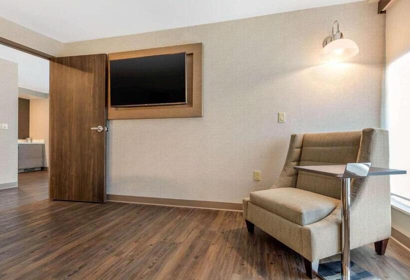 Люкс Адаптированный для Инвалидов, Cambria Hotel Milwaukee Downtown