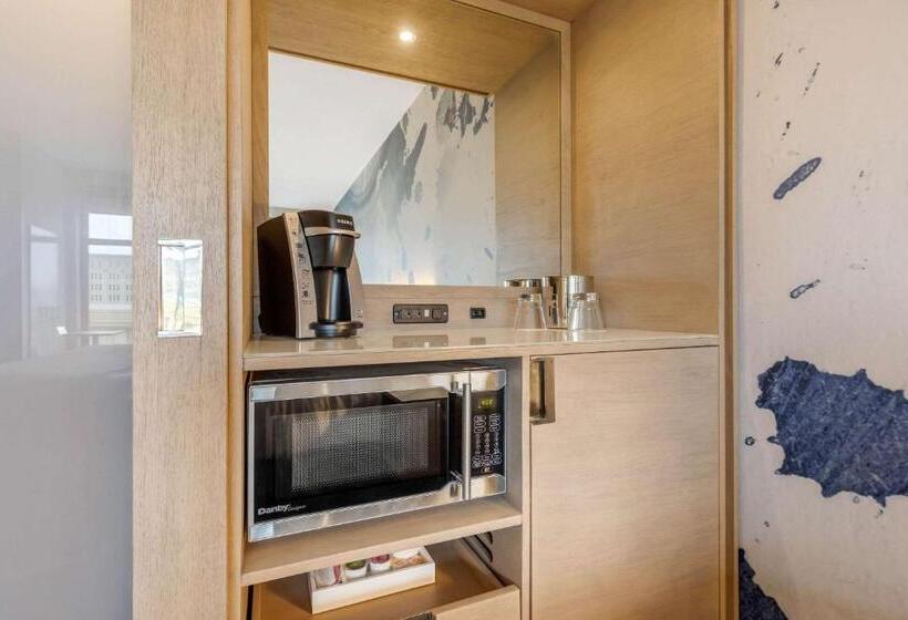 Номер Стандарт Кровать Кинг Адаптированный для Инвалидов, Cambria Hotel Milwaukee Downtown