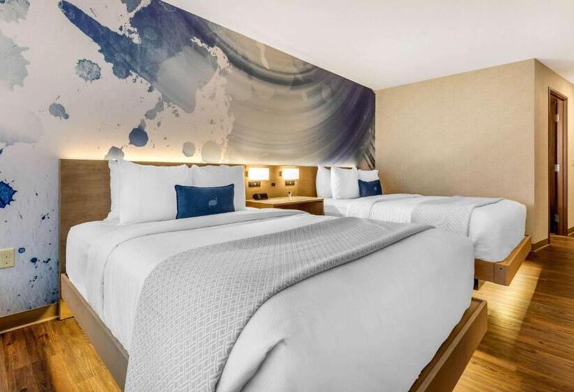 Номер Стандарт Адаптированный для Инвалидов, Cambria Hotel Milwaukee Downtown