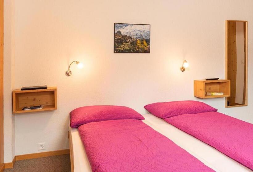Quarto Estandar, Alpenblick