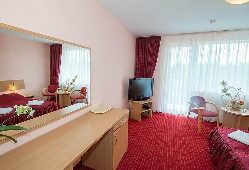 Номер Стандарт, Millennium Health Resort & Spa