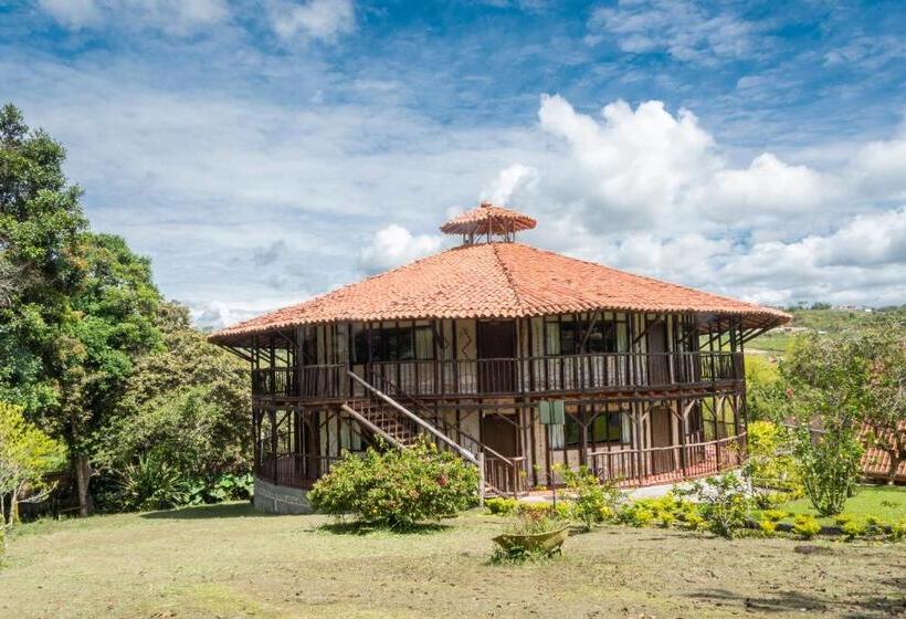 Номер Стандарт, San Agustin Internacional