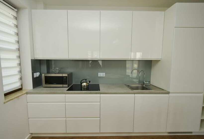 带1个卧室的带阳台的公寓, Poduszka Apartamenty Zdrojowe
