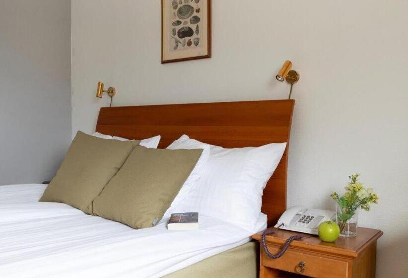 اتاق سوپریور, Best Western Hotel Botnia