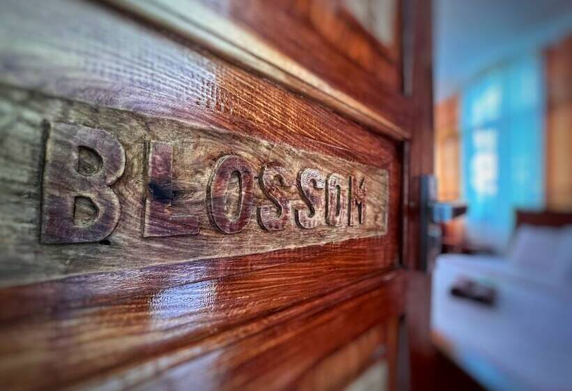 Номер Deluxe, White Summerville Tourist Inn