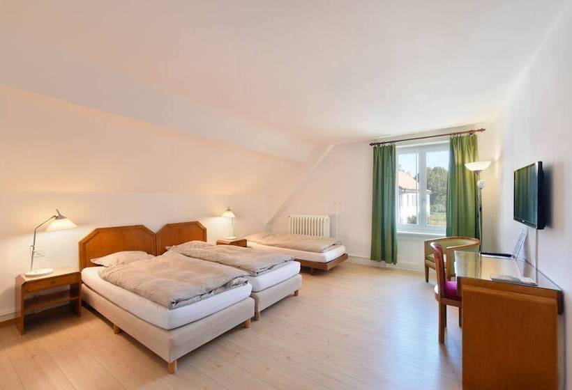 Номер Стандарт Трехместный, Hôtel De L Aigle