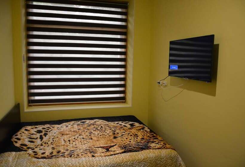 패밀리 룸, Capsule Hotel Aloha