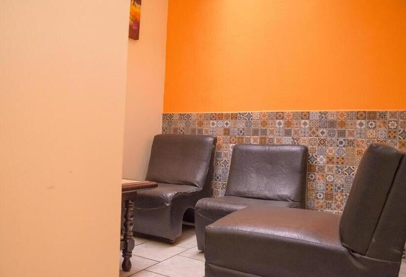 اتاق اکونومی یک تخته, Vintage Casa Las Flores