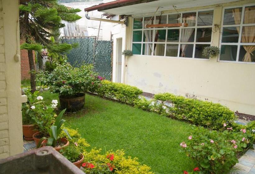 اتاق استاندارد, Vintage Casa Las Flores
