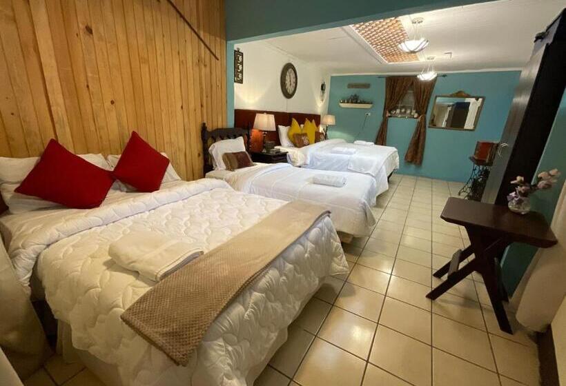 اتاق خانوادگی, Vintage Casa Las Flores