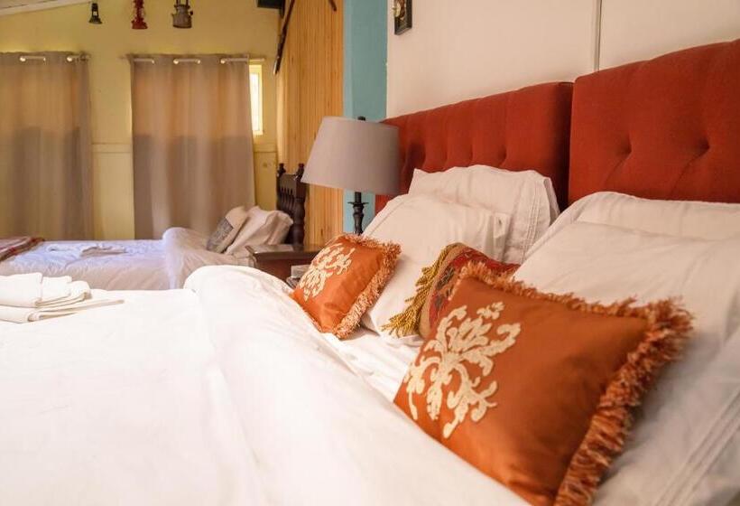 اتاق خانوادگی, Vintage Casa Las Flores