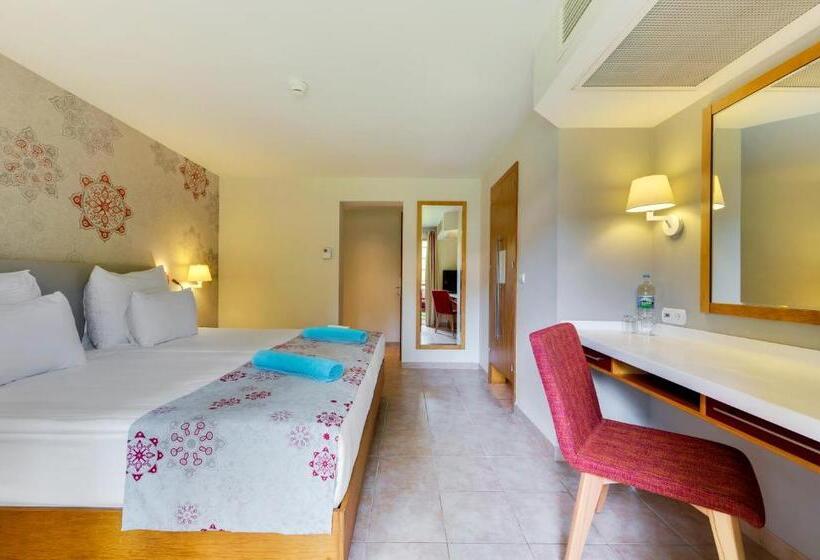 Quarto Superior, Robinson Camyuva   Adults Only