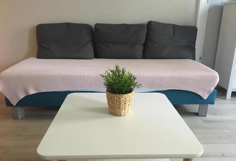 标准单人间, Chillout Hostel