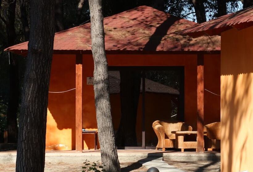 Семейный Номер, Club Nature Village