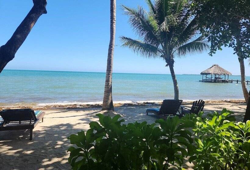 수피리어 스위트, Maya Beach