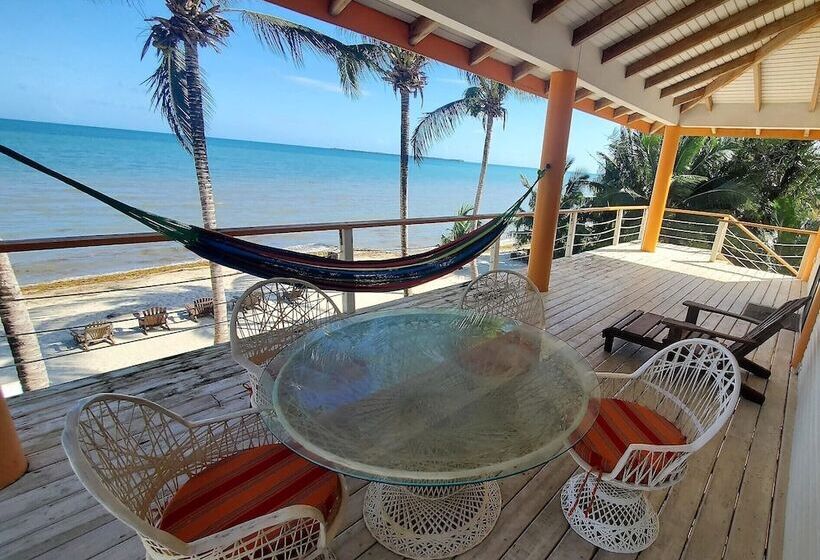 Apartamento Basic 1 Dormitório, Maya Beach