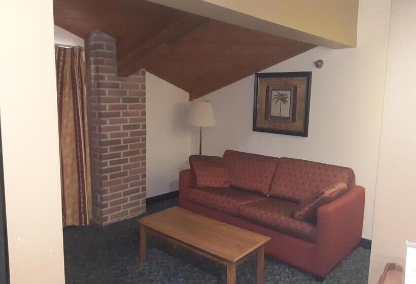 Президентский Люкс, American Inn And Suites Ionia