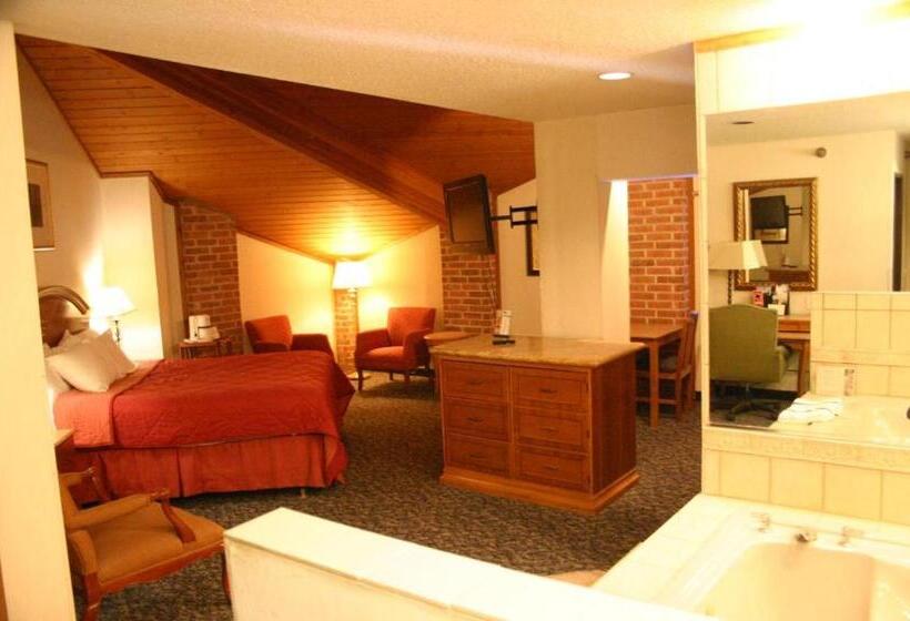 Президентский Люкс, American Inn And Suites Ionia