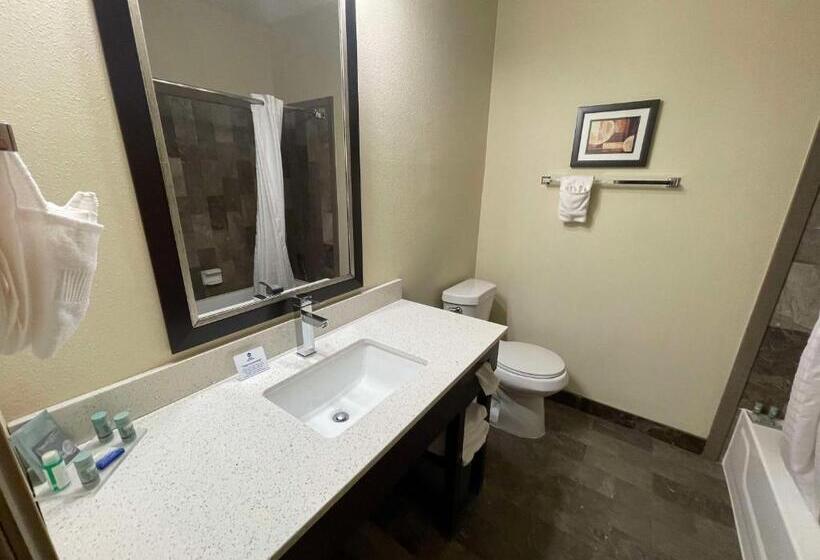 Стандартный Номер Кровать Кинг, Best Western Aspen