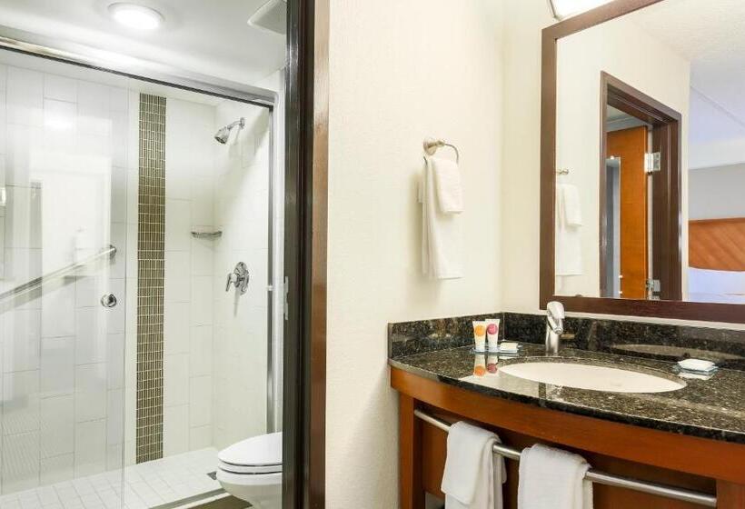 Номер Стандарт 2 Двуспальные Кровати, Hyatt Place Fort Worth/hurst
