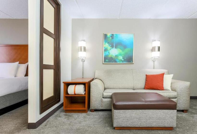 Номер Стандарт, Hyatt Place Fort Worth/hurst