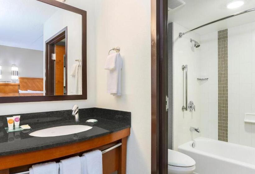 Номер Стандарт Кровать Кинг Адаптированный для Инвалидов, Hyatt Place Fort Worth/hurst