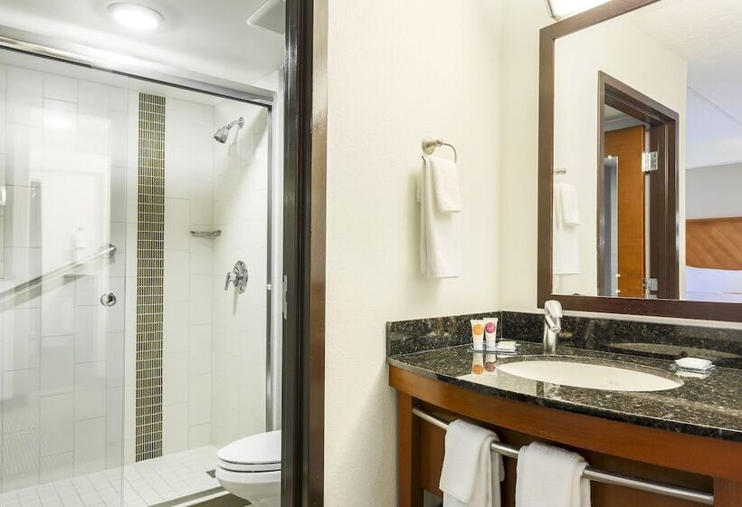 Номер Стандарт 2 Двуспальные Кровати, Hyatt Place Fort Worth/hurst