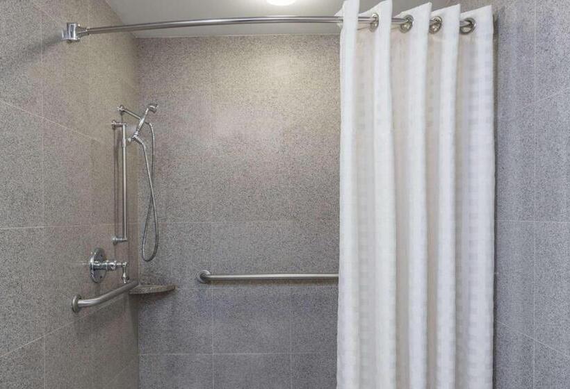 Номер Стандарт Кровать Кинг Адаптированный для Инвалидов, Wyndham Garden Baronne Plaza