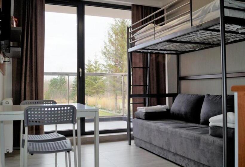 Студия Стандарт, Apartamenty Sun & Snow Sanatoryjna