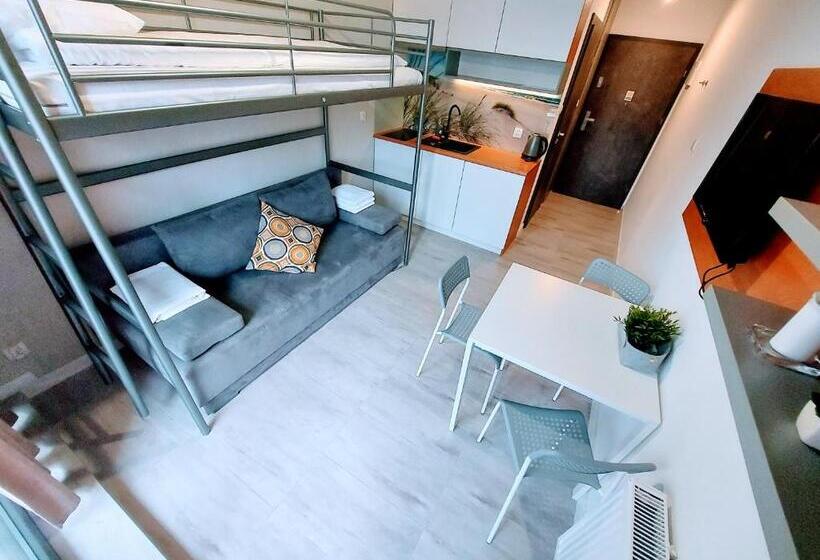 Студия Стандарт, Apartamenty Sun & Snow Sanatoryjna