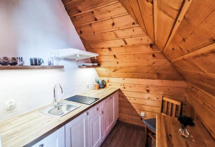 Студия Стандарт, Zakopane Stop