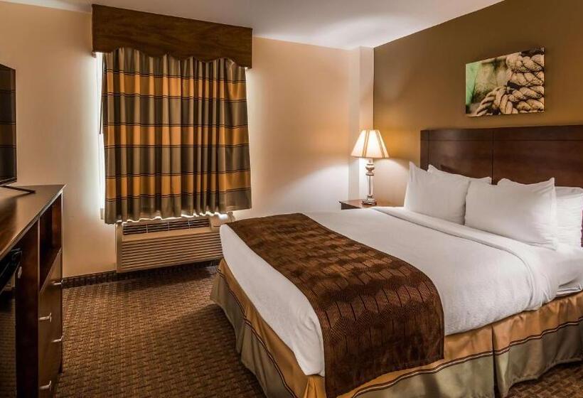 سوییت جونیور, Best Western Adams Inn Quincy Boston