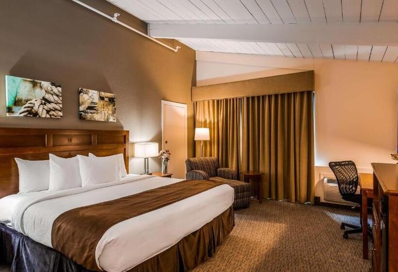 Номер Стандарт Вид на Море, Best Western Adams Inn Quincy Boston