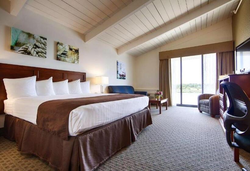 Стандартный Номер Кровать Кинг, Best Western Adams Inn Quincy Boston