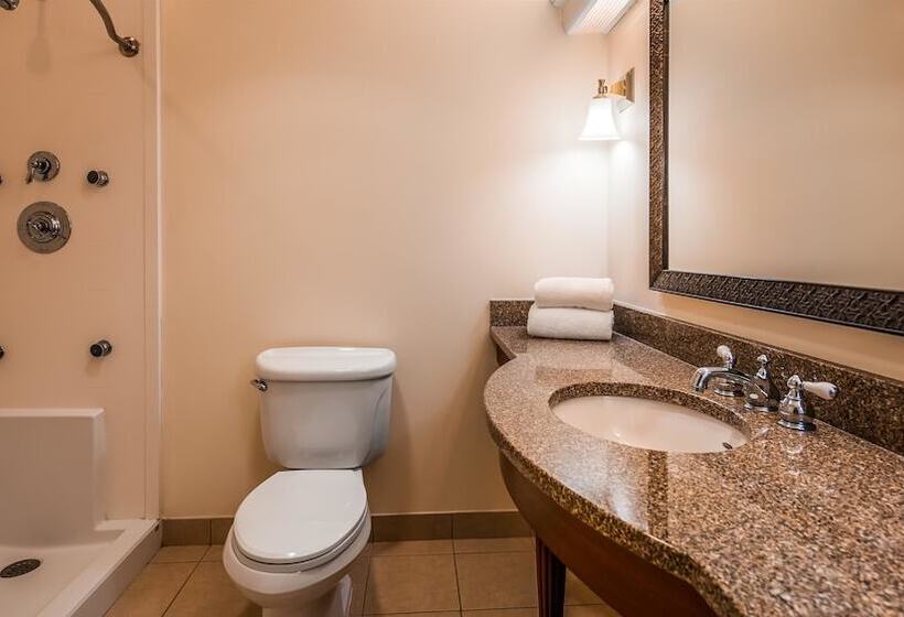 Полулюкс, Best Western Adams Inn Quincy Boston