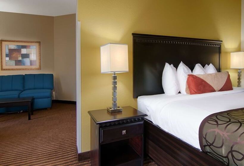 Номер Стандарт Двуспальная Кровать, Best Western Plus Atlanta Airporteast