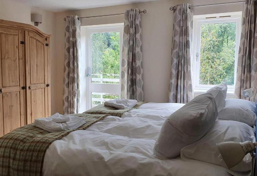 Люкс Вид на Реку, Plas Penaeldroch Manor