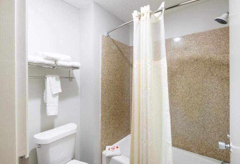 Номер Стандарт, Red Roof Inn Stafford, TX
