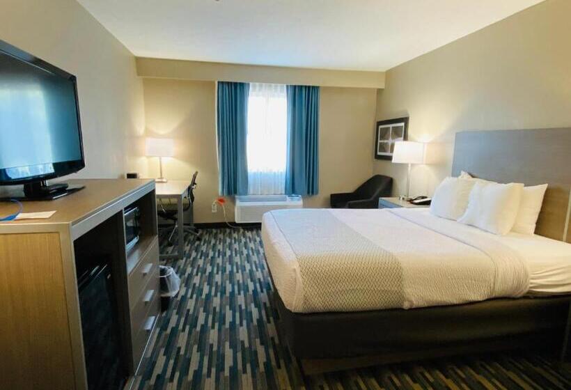 Camera Standard Pat King Adaptată pentru Discapacitaţi, Best Western Edinburgh/columbus