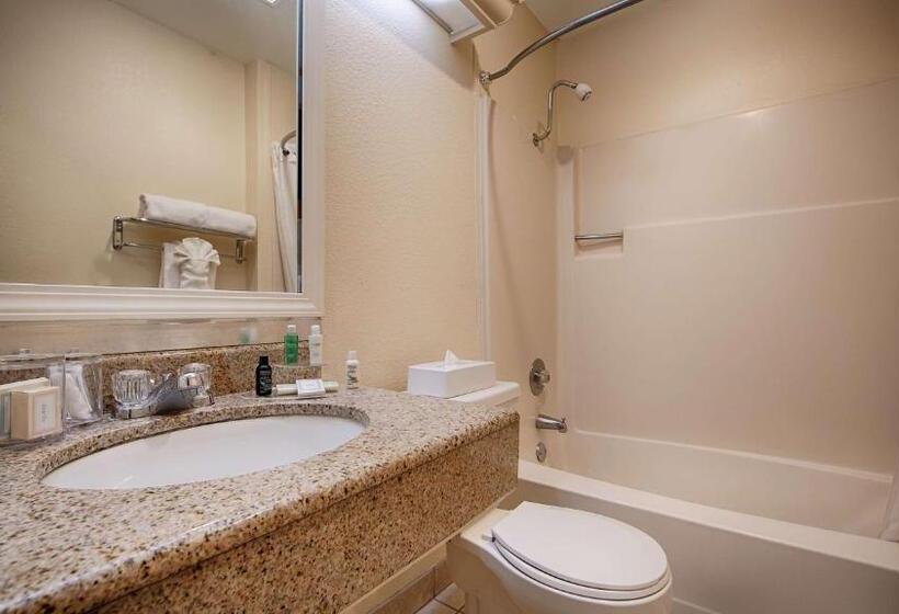 스탠다드 룸 킹사이즈 침대, Best Western John Muir Inn