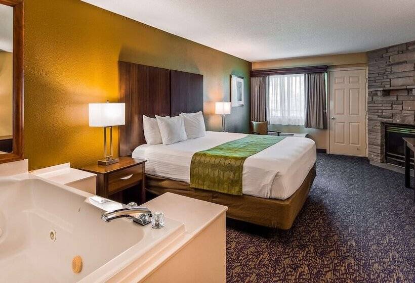 ダブルベッドスタンダードルーム, Best Western Plaza Inn